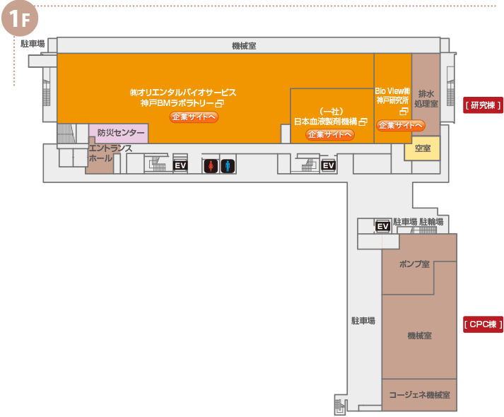神戸バイオメディカル創造センター1F